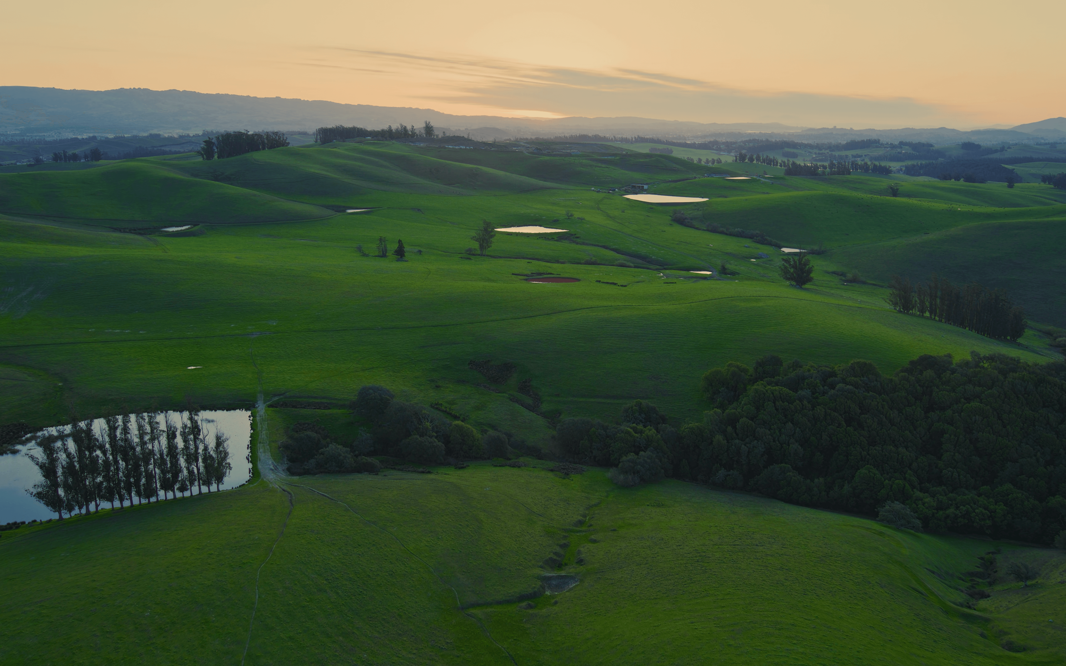 Green Background