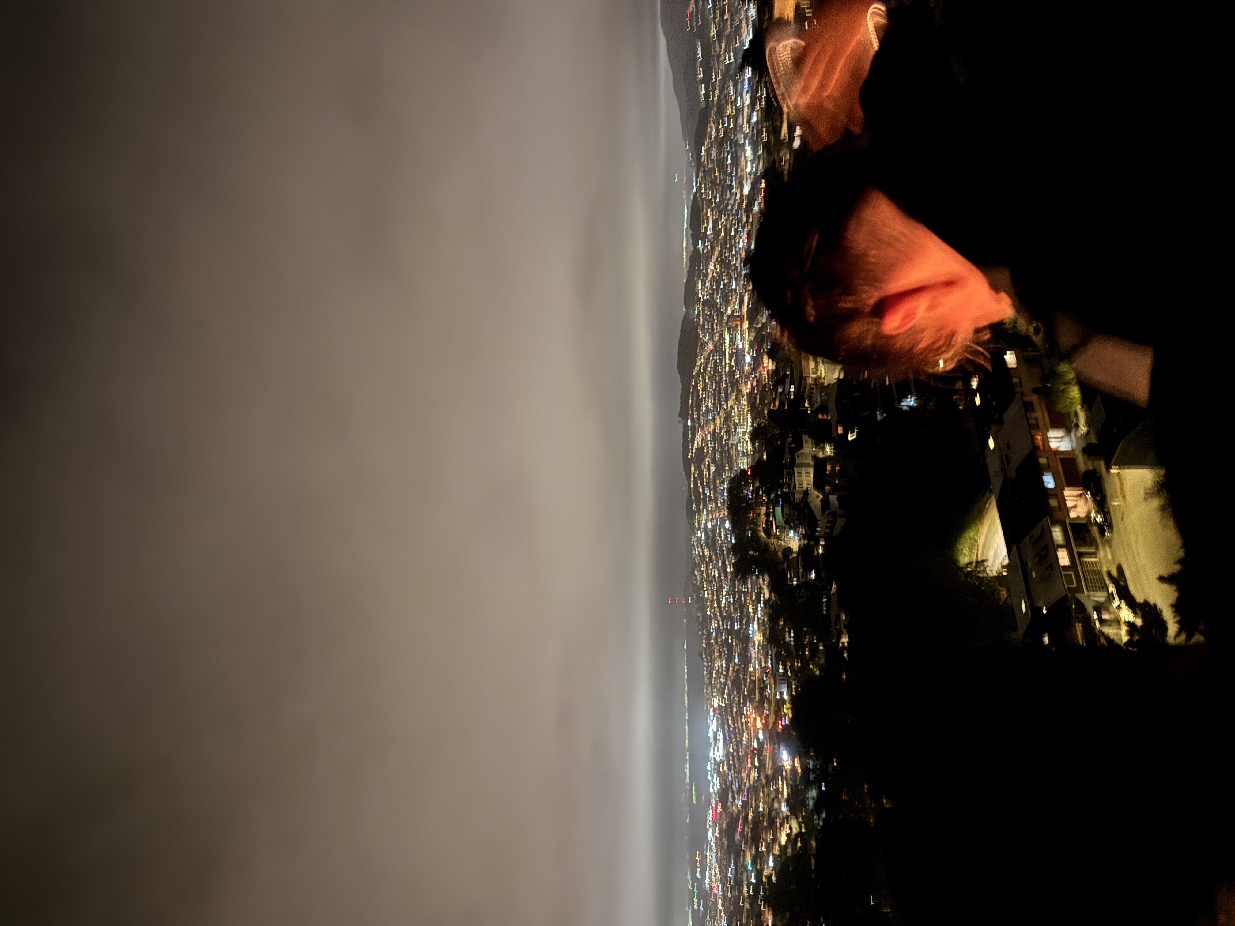 pally house party september